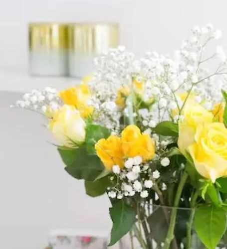 Lägenhet Bbwestduin Haag